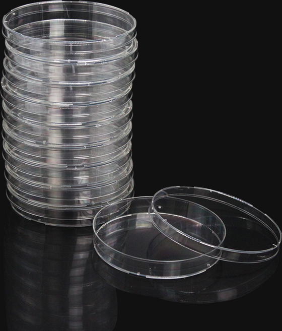 페트리디쉬 배양접시 90mm 플라스틱 10ea 멸균 지퍼팩 포장, 10개, 투명