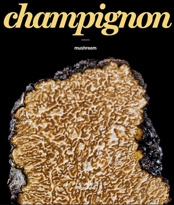 서승호 셰프의 멘토링 쿡북 시리즈 : 버섯편, 아이엔지북스