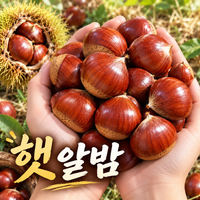 3위 - 부여 공주 대사이즈 햇밤 알밤, 1박스, 2kg