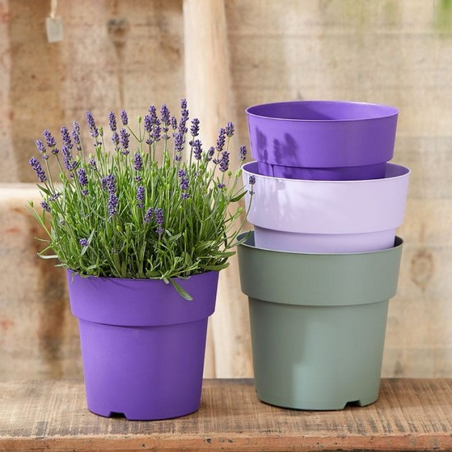 마이플랜트 데쉬 플랜트팩 줄리엣 네덜란드 수입 플라스틱 컬러 화분, 19호, 라이트핑크