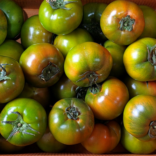 정품인증 대저 토마토 짭짤이 산지직송, 1박스, 2.5kg (로얄 S~2S)