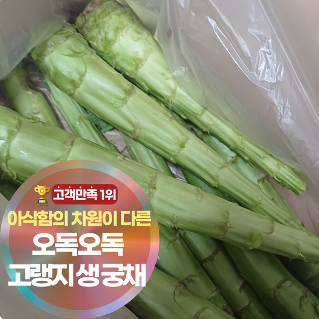 삼시세끼연구소 한달만 나오는 국산 궁채 생궁채 줄기상추, 1박스, 1kg