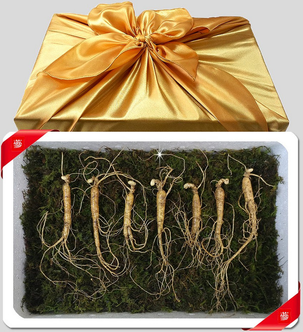 삼바이 산양산삼 5-6년근 선물세트 산삼 산양삼 장뇌삼 인삼 면역력 기력보강 설날 추석 설선물 설명절 추석선물 추석명절 명절선물, 7개