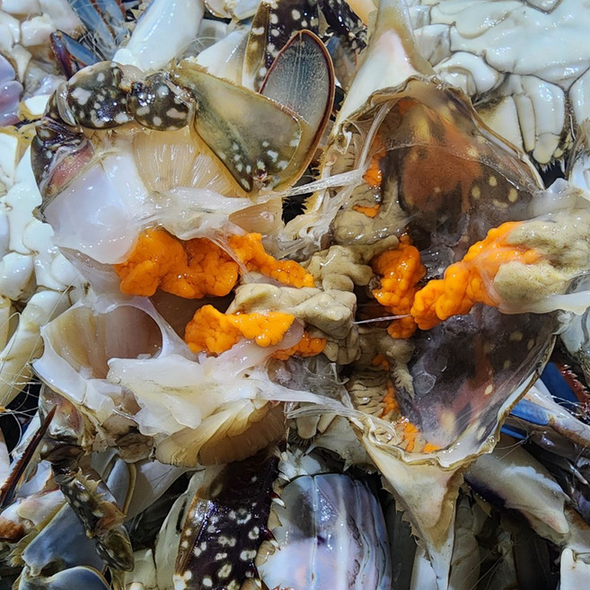 연평도 꽃게 서해안 제철 가을 숫꽃게 급냉동 알배기 암꽃게 절단 몽당 꽃게 1kg, 1개, 봄활암꽃게 (3~4미)