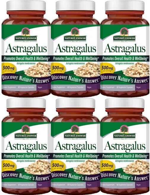 네이처스앤서 아스트라갈루스 황기 뿌리 500mg, 6개, 60정, 60정 - 쿠팡