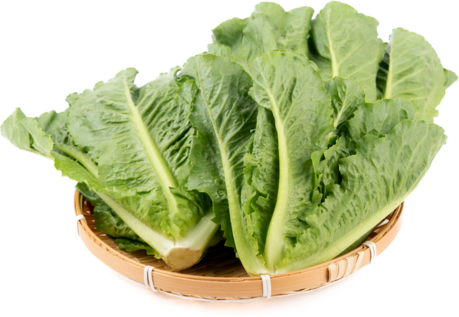 경동시장 국내산 로메인 상추, 1개, 400g
