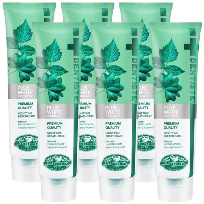 덴티스테 플러스 화이트 치약 튜브형 60g 6개 / 구취제거 세균억제