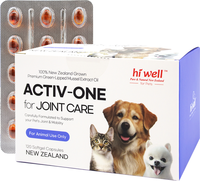 하이웰 액티브원 강아지 초록입홍합 오일 50mg 관절 영양제 슬개골, 1개, 뼈/관절강화, 120정
