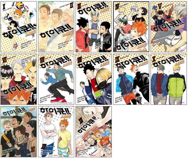 하이큐 소설판 1-13권 전권 세트