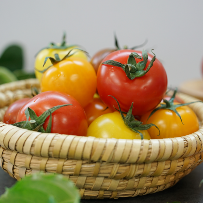 국산 오색 칵테일 토마토 미니 대추 방울 3색 알록달록 1kg 2kg