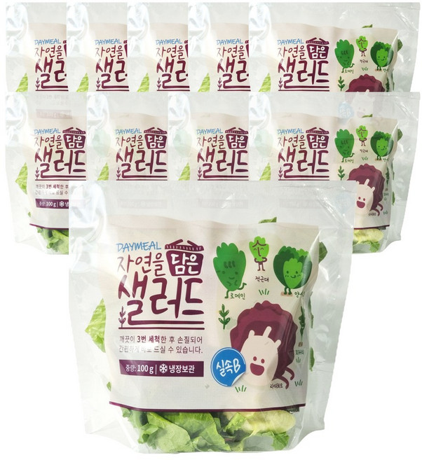 데이밀 자연을담은 샐러드 실속B 100g x 10팩 국내산 야채믹스 드레싱없음, 10개