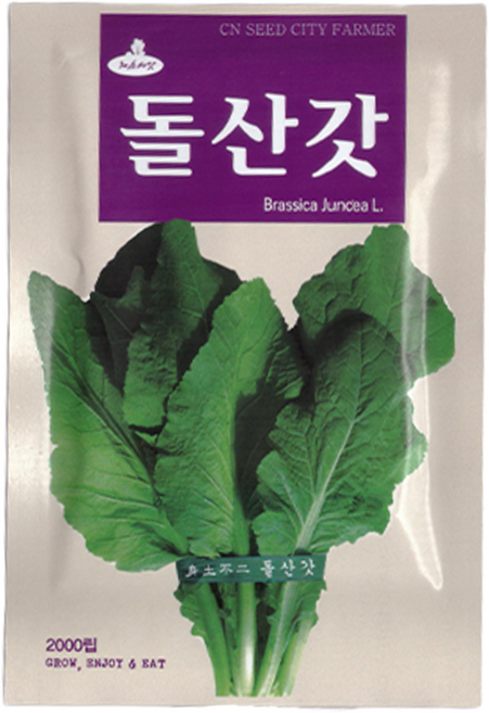 청농 돌산갓 씨앗 2000립, 1개