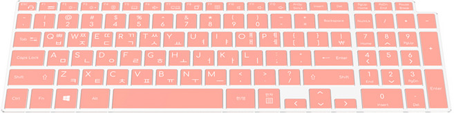 2022 엘지 그램 키스킨 블랙 그램 바닥 모델명 확인, 17인치(17ZD95P 17Z95P), 1개