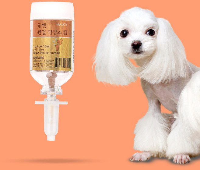 위드닥터 1통 강아지 관절영양제 애견 반려견 반려동물 슬개골 칼슘 약, 1개