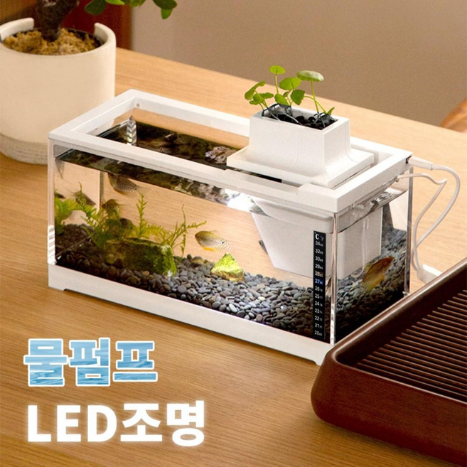 EVOKME 생태 어항 물고기어항 어항세트 열대어 물고기키우기 자동순환 펌프, 1개, 화이트