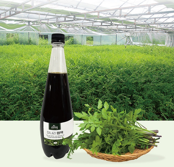 신선마을 미나리 원액 1L, 1개