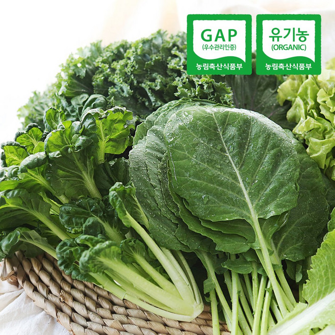 [햇님농장] 충주 유기농 쌈채소 600g, 1세트
