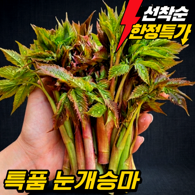 [한정수량 초특가] 강원도 눈개승마 삼나물 신선 산지직송 봄 제철, 1kg, 1개