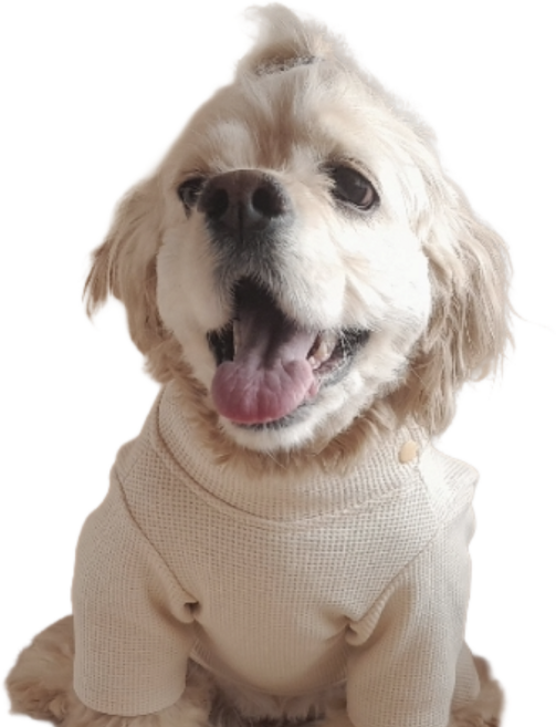 강아지 와플 하이넥 올인원 봄옷, 1개, 아이보리