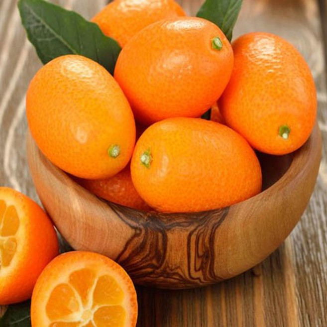 [산지직송/국내산] 제주 밭에서 갓 따온 고당도 상큼 싱싱한 햇 금귤(낑깡), 1개, 제주산 금귤 (낑깡):대 사이즈 2kg