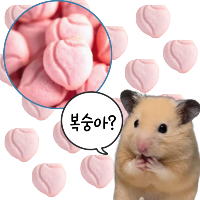 (best) 햄스터 간식 쿠키 복숭아 이갈이 비스킷, 1개, 8g