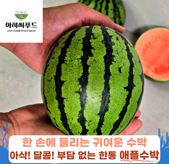 [100%파손보장] 2026년 첫 수확 고당도 미니 애플수박, 1박스, 정품 중대과 4통 (3kg내외)