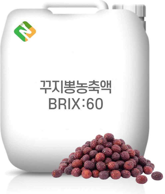 꾸지뽕농축액 60Brix 20kg, 1개