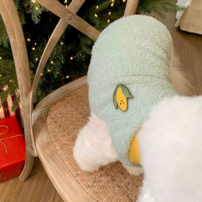 강아지 청바지 멜빵바지 데님 오버롤 애견의류 귀여운 반려견 옷.귀여운 청멜빵 디자인 / 사계절 산책룩 / 포토존 인기템