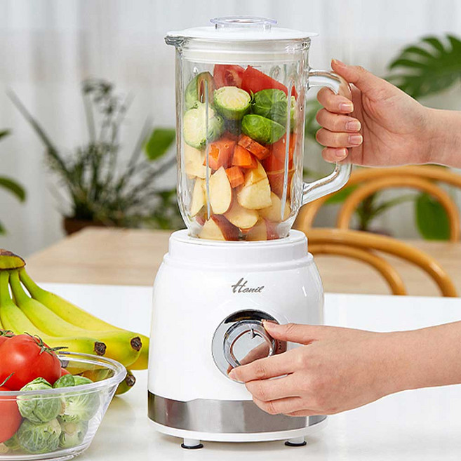 한일전기 3in1 글라스믹서 가정용 믹서기 분쇄기 유리용기 스테인레스칼날 SGMFC-1000M