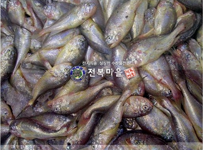 생물 황석어 깡달이 (젓갈용황석어) 깡다리 황새기 강달어, 황석어(중)(젓갈용) 5kg, 1개