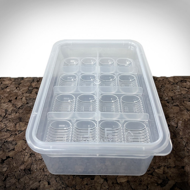 JIF 대형 에그컨테이너 파충류 알부화통, 1개