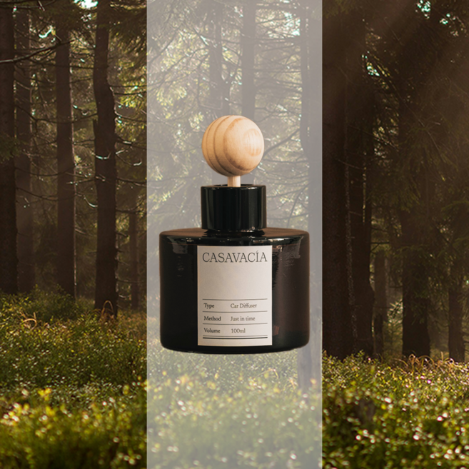 카사바시아 명품 차량용 차량 방향제 카 디퓨저, 1개, 테싯