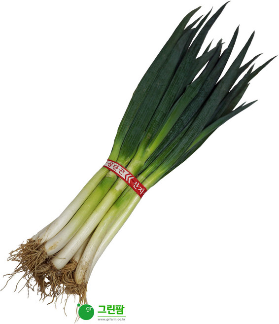 대파1단-약 900g, 1개