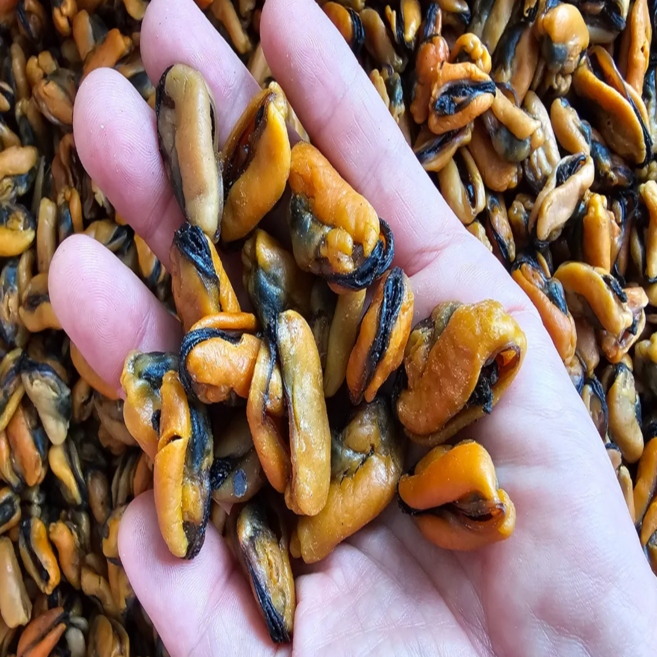 [쫄깃담백] 청정 남해 건홍합 깐홍합, 1개, 500g