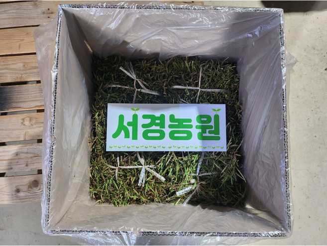 서경농원 천연잔디 조경용 20장, 1세트