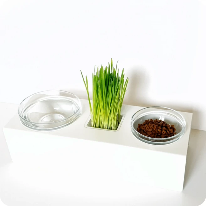 뮤토그린스 멀티 화이트스틸 식기 & 화분 (뮤토 창문걸이화분 포함), 1개 - 쿠팡