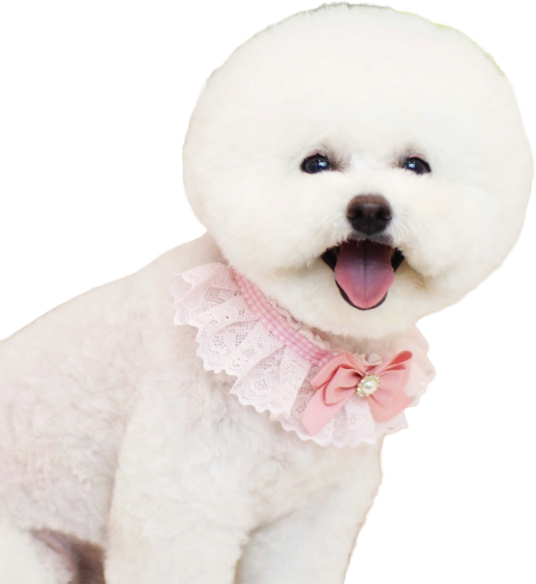 하니펫 반려동물 귀요미스카프 체크리본레이스, 1개, 핑크