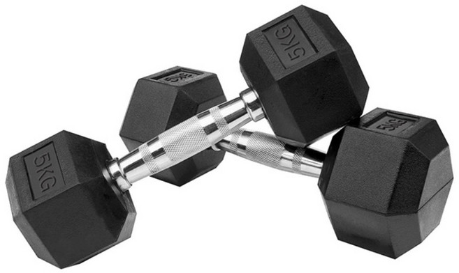 홈짐 홈트 PEV 헥사곤 덤벨 육각 아령, 2개, 5kg