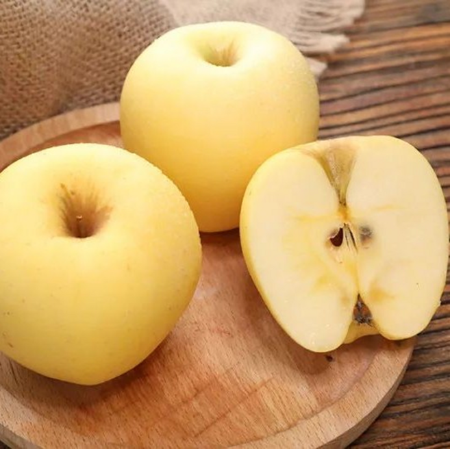 [최대할인]경북직송 BEST 과즙줄줄 가정용 시나노골드사과, 1박스, 2kg