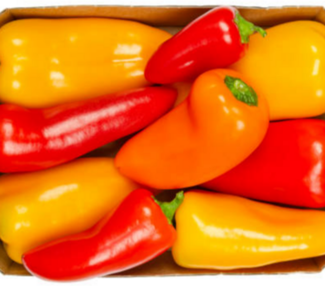 굿피플 미니파프리카 피망 피망파프리카 파프리카, 1개, 미니 파프리카 1kg (250g*4)