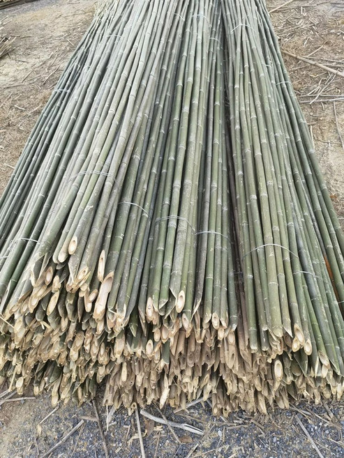 대나무 지지대 오이 고추 두께 세트 지주대 원예 화초 덩굴 가지 중간 베란다 깃대, 깃대 2.5cm 2.3m 50개, 1개