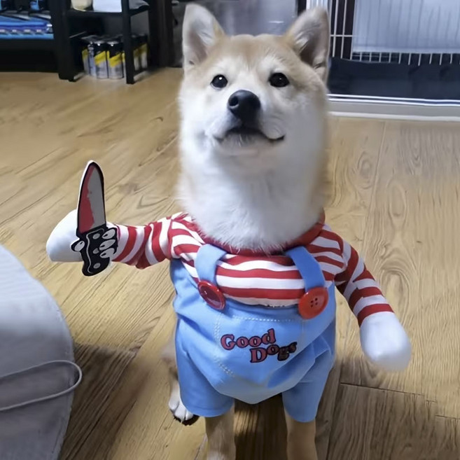 강아지 처키옷 코스튬 특이한 귀여운 의상 대형견 중형견 소형견, 1개, 스트라이프