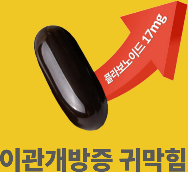 이개정 이관개방증 귀막힘병 영양제 귀 면역력 아연 영양제, 3개, 90정