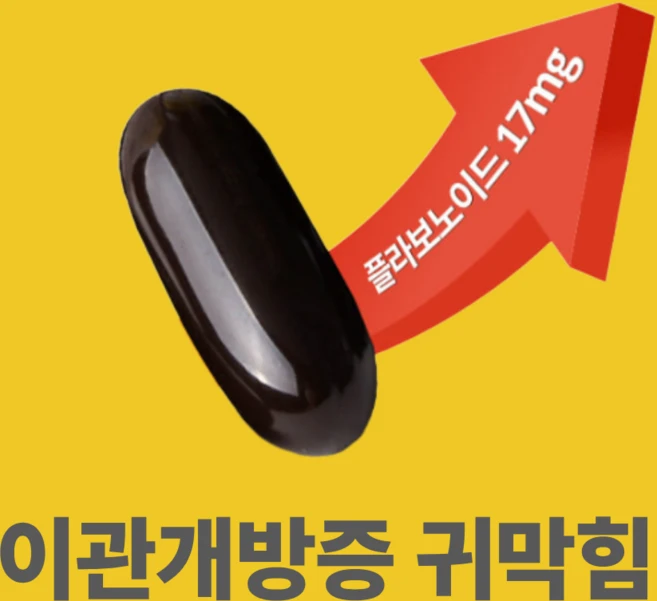 이개정 이관개방증 귀막힘병 영양제 귀 면역력 아연 영양제, 1개, 90정 - 쿠팡