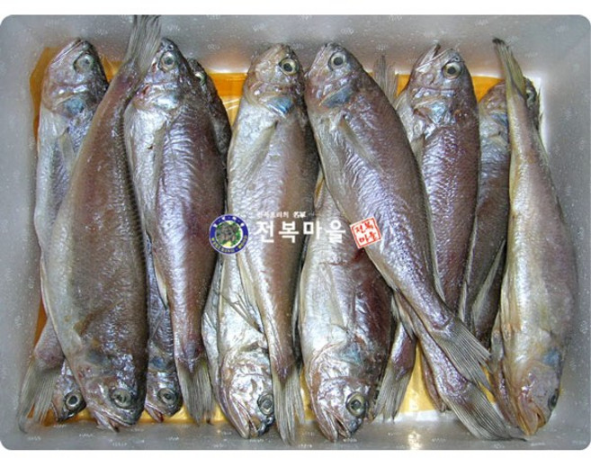 손질조기 조기굴비(특대) 반건조생선 말린조기 건조생선 손질생선 선물용참조기, 조기굴비(특대) 10마리(20-22cm내외), 1개, 10마리