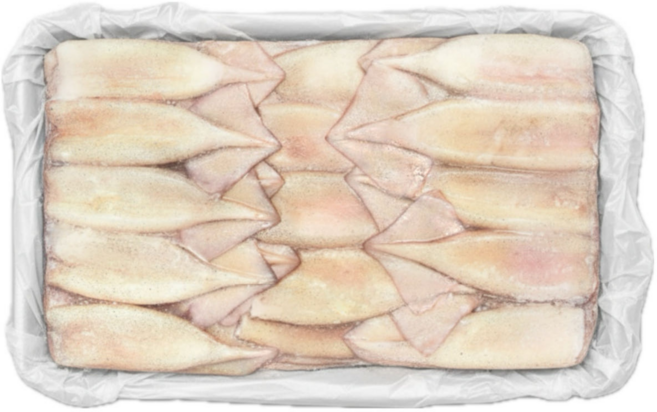 냉동 튜브오징어 대용량 포크 몸통오징어, 1개, 10kg 150/170