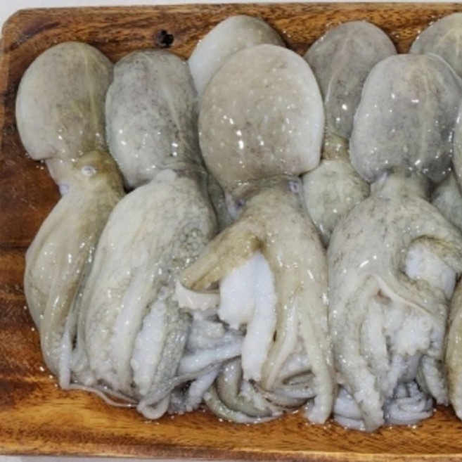 잡자마자 급속냉동 주꾸미 4kg 중국산 급랭 통주꾸미 요리 재료 볶음 dar95184Dd, 1개, 단일