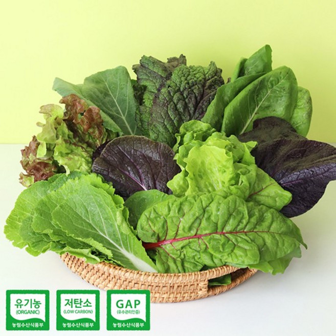 유기농 인증 친환경 샐러드 쌈채소 모음, 01.쌈채소 600g, 1개