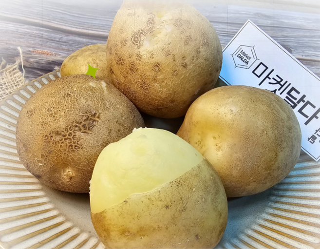 국내산 햇 감자(소), 1세트, 500g