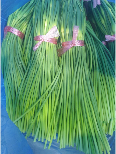 국내산 남해 마늘쫑 햇마늘쫑 특품, 1개, 2kg